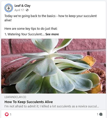 leaf and clay facebook link post.png
