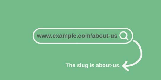 what are slugs in wordpress 544x272.jpg