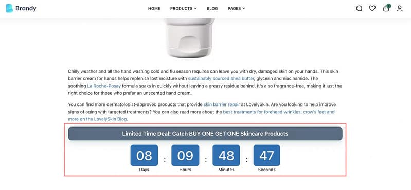 the front end countdown timer with brandy 1030x478.jpg