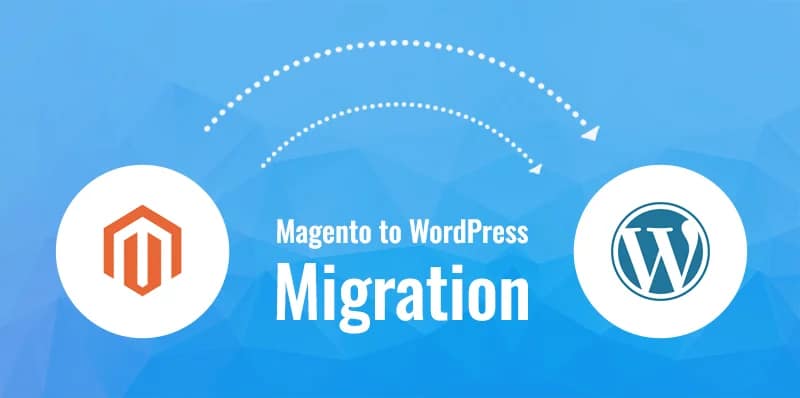 magento to wordpress migration.webp