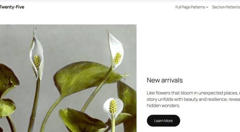 twenty twenty five shop homepage 800x440.jpg