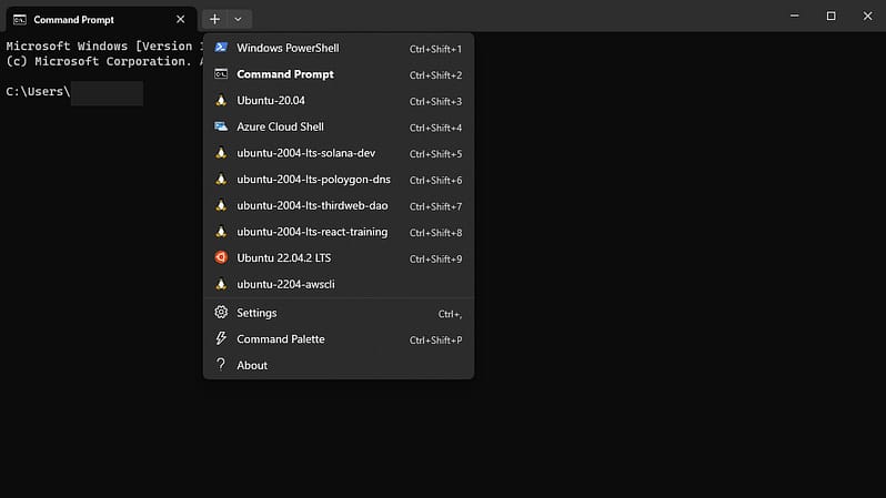 wpcd wsl article 01.png