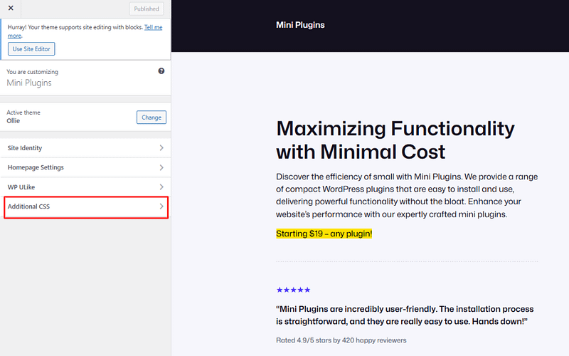 How to add Custom CSS in WordPress website? - World of WP