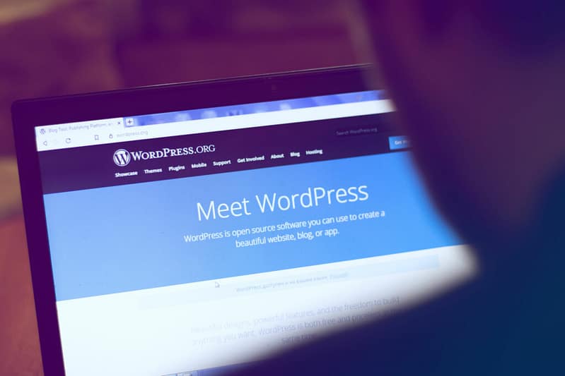 wordpressorg 1024x683.jpg