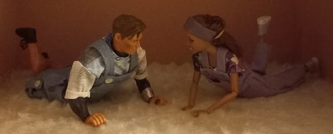 H6-romance-bloeit-op-4